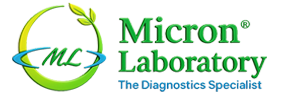 Micron Laboratory